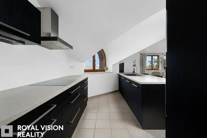 Prodej rodinného domu, Brno, Breitcetlova, 481 m2