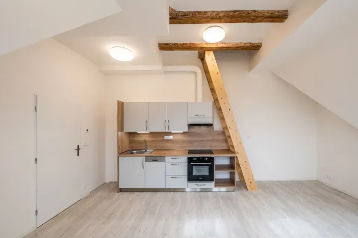 Pronájem bytu 1+kk, Liberec - Liberec III-Jeřáb, Americká, 53 m2