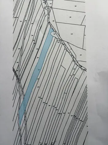 Prodej lesa, Černovice, 5230 m2