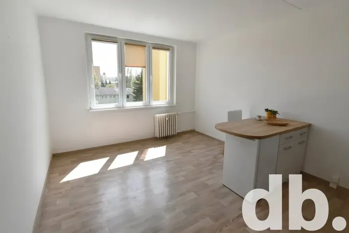 Pronájem bytu 1+kk, Chodov, Čapkova, 26 m2