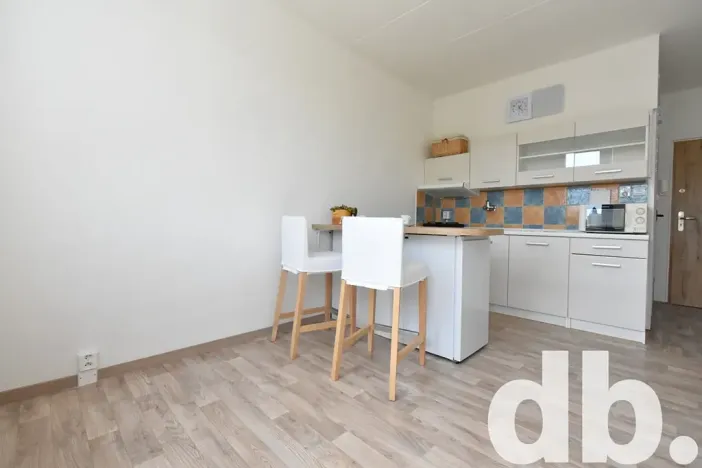 Pronájem bytu 1+kk, Chodov, Čapkova, 26 m2