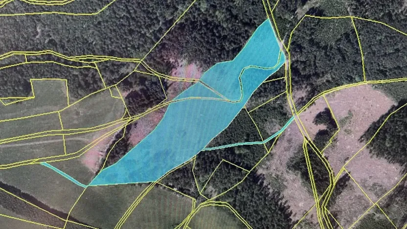 Prodej lesa, Pecka, 35108 m2