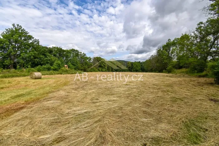Prodej louky, Úštěk, 131865 m2
