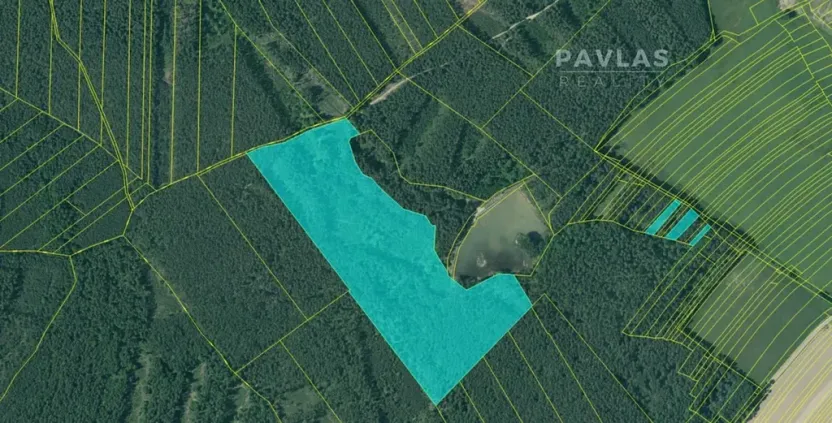 Prodej lesa, Domanín, 106026 m2