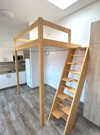 Pronájem bytu 1+kk, Praha - Vinohrady, Boleslavská, 37 m2