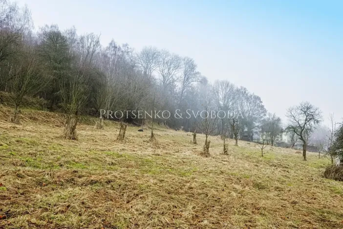 Prodej komerčního pozemku, Letovice, Nádražní, 3080 m2