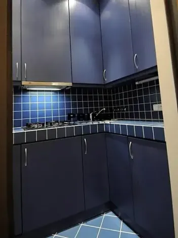 Pronájem bytu 2+1, Praha - Vinohrady, Anny Letenské, 54 m2