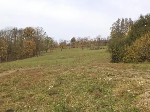 Dražba louky, Nový Jičín, 6670 m2