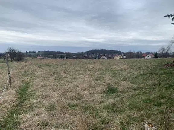 Dražba louky, Nový Oldřichov, 1550 m2