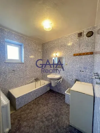 Prodej rodinného domu, Veselí nad Moravou, Břestek, 230 m2