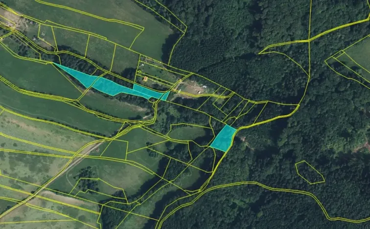 Prodej lesa, Bradlecká Lhota, 36126 m2