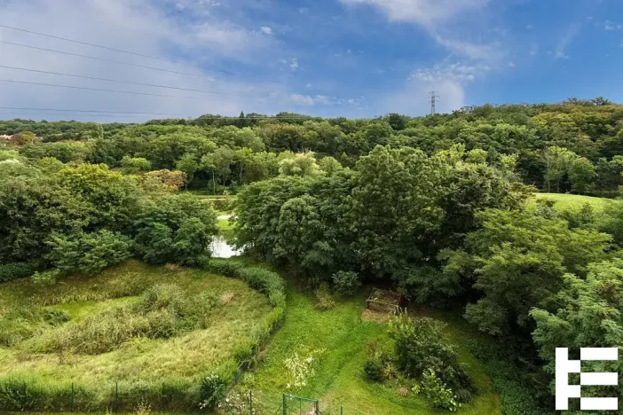 Pronájem bytu 3+kk, Praha - Hloubětín, Nademlejnská, 92 m2