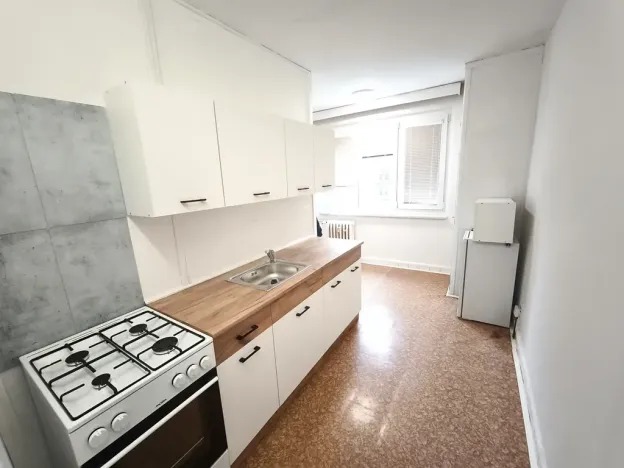 Pronájem bytu 1+1, Plzeň, Krejčíkova, 43 m2