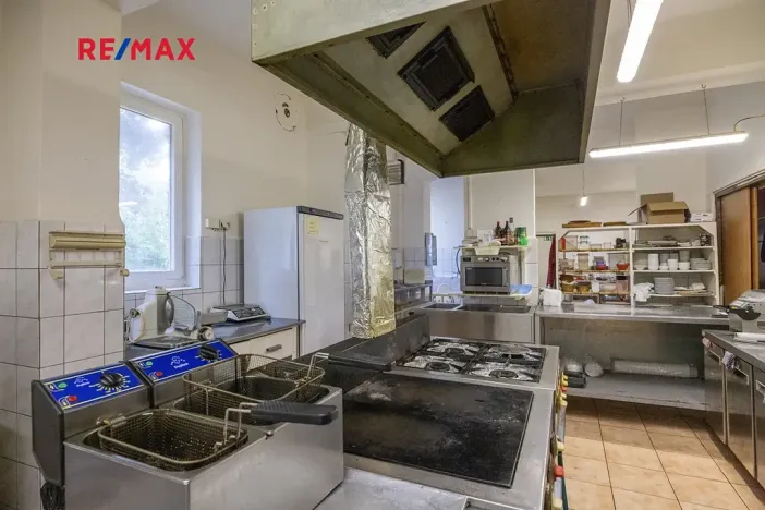 Prodej obchodního prostoru, Čelákovice, Rumunská, 794 m2