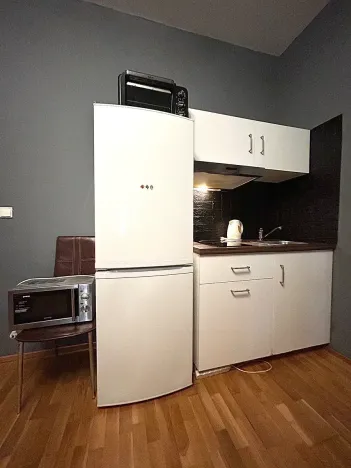 Pronájem bytu 1+kk, Praha - Vinohrady, Pod Zvonařkou, 27 m2