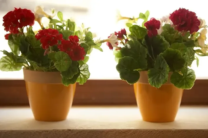 Prodej rodinného domu, Maroulas, Řecko, 221 m2