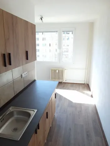 Pronájem bytu 1+1, Ústí nad Labem, Jindřicha Plachty, 42 m2