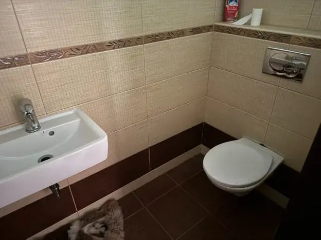 Dražba rodinného domu, Praha - Vinohrady, Květná, 266 m2