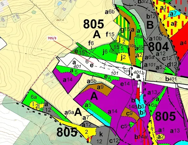 Dražba lesa, Janův Důl, 27787 m2