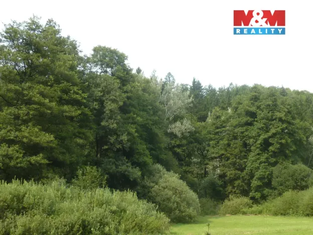 Prodej lesa, Vysoká Srbská, 26095 m2