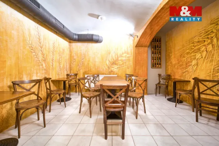 Pronájem obchodního prostoru, Plzeň - Jižní Předměstí, Americká, 102 m2