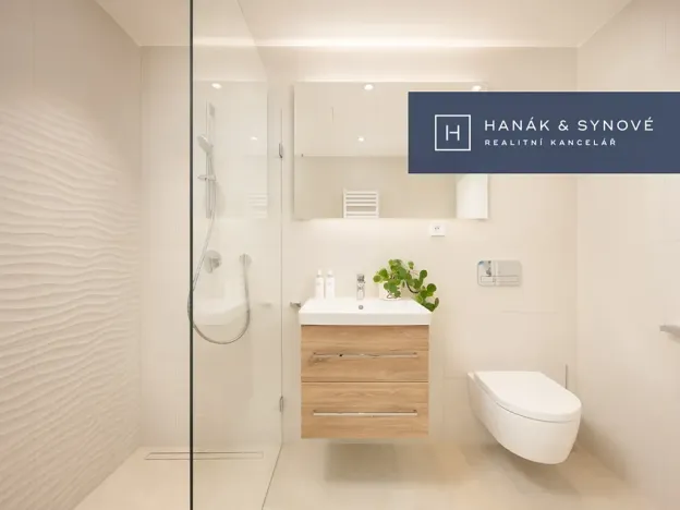 Pronájem bytu 1+kk, Brno, Cejl, 32 m2