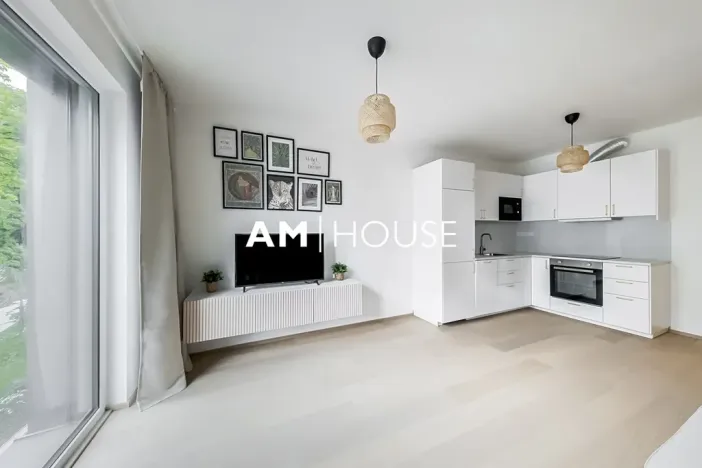 Pronájem bytu 2+kk, Praha - Karlín, Křižíkova, 49 m2