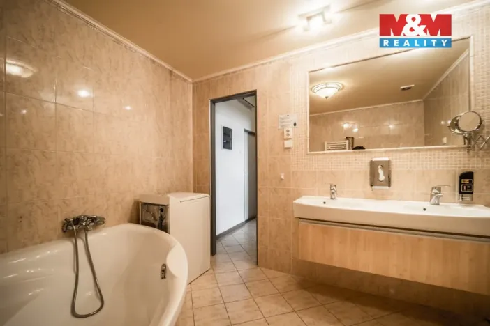 Pronájem bytu 4+kk, Plzeň - Vnitřní Město, Zbrojnická, 102 m2