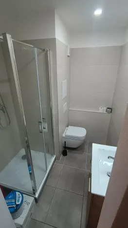 Pronájem bytu 1+1, Plzeň, Na Dlouhých, 40 m2