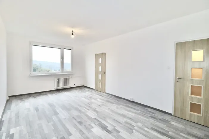 Pronájem bytu 2+1, Ústí nad Labem - Ústí nad Labem-centrum, SNP, 62 m2