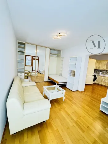 Pronájem bytu 1+1, České Budějovice, Riegrova, 55 m2