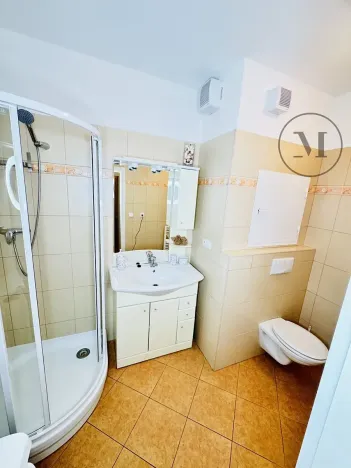 Pronájem bytu 1+1, České Budějovice, Riegrova, 55 m2