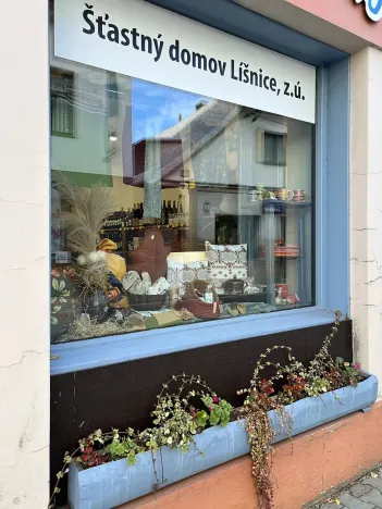 Prodej obchodního prostoru, Žamberk, Kostelní, 86 m2