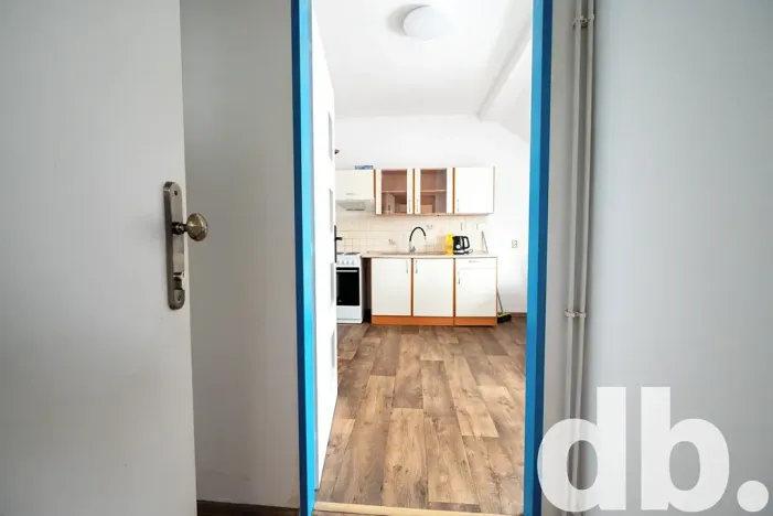 Pronájem bytu 1+1, Karlovy Vary, Jabloňová, 45 m2