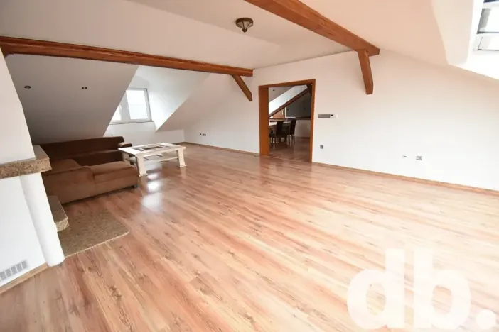 Pronájem bytu 4+kk, Karlovy Vary, Západní, 240 m2