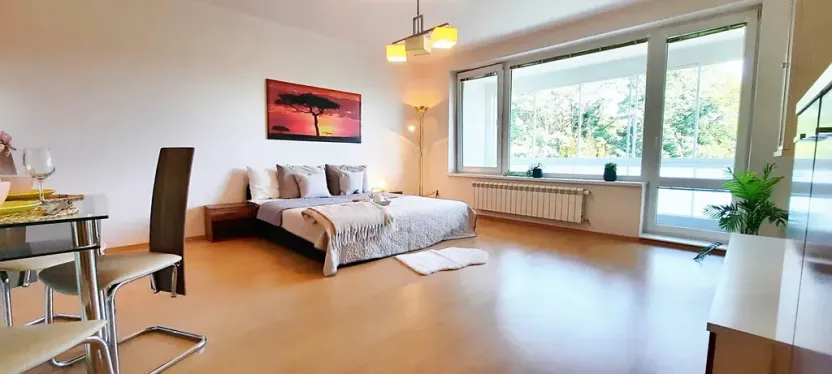 Pronájem bytu 1+kk, Brno, Šemberova, 48 m2