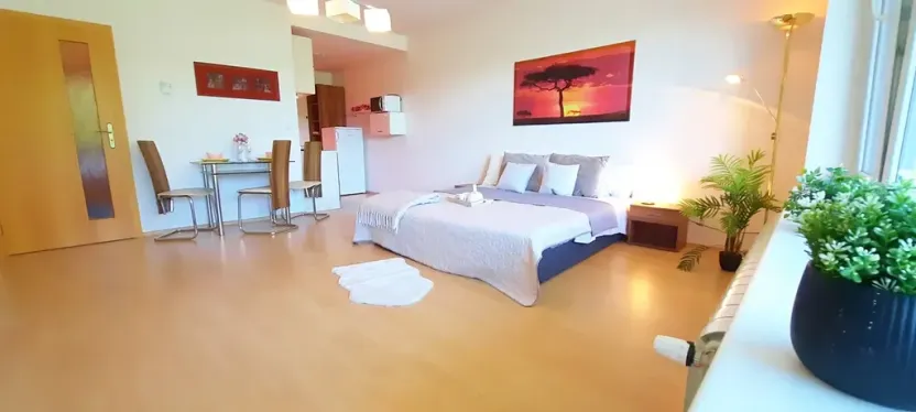 Pronájem bytu 1+kk, Brno, Šemberova, 48 m2