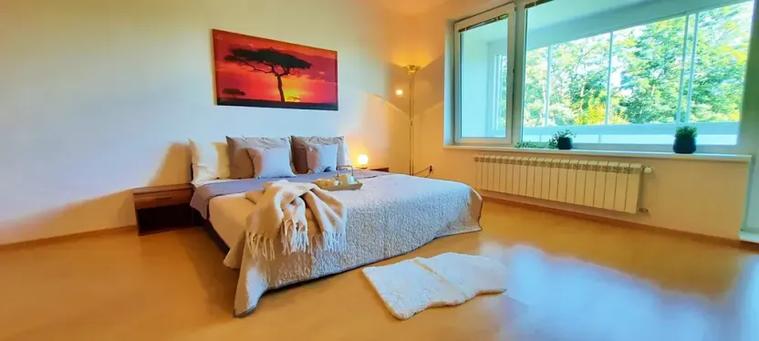 Pronájem bytu 1+kk, Brno, Šemberova, 48 m2