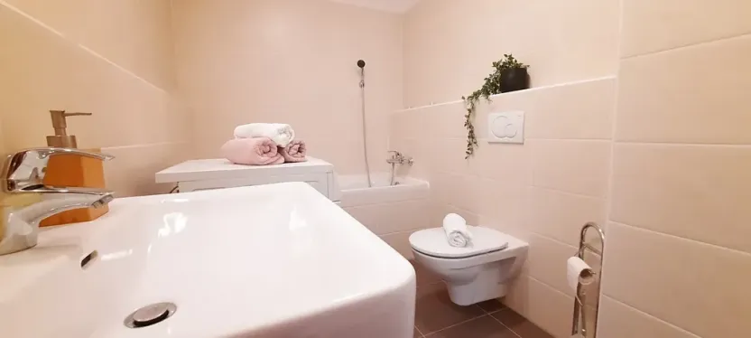 Pronájem bytu 1+kk, Brno, Šemberova, 48 m2