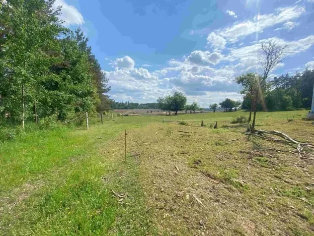 Dražba louky, Býkov-Láryšov, 2300 m2