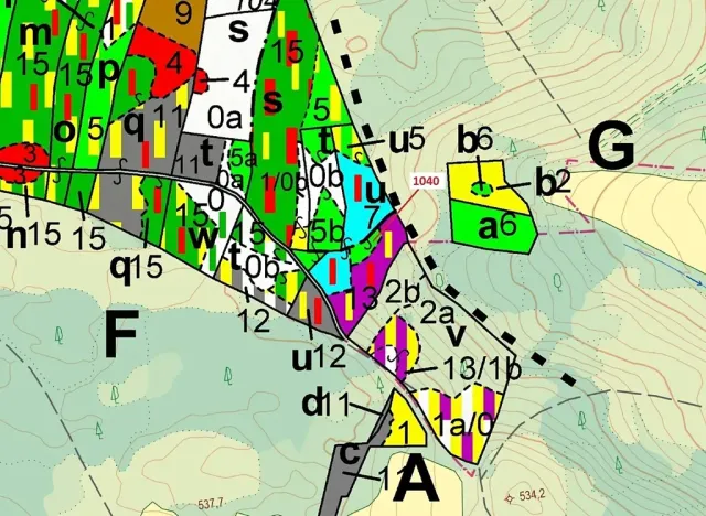Dražba lesa, Hradiště, 6519 m2