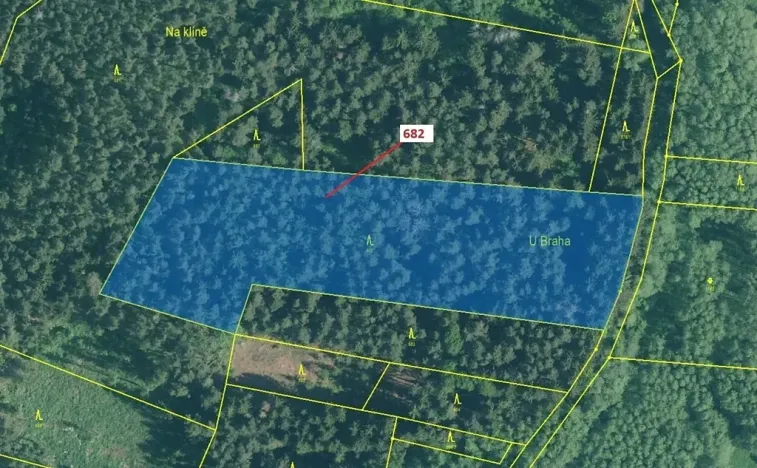 Dražba lesa, Kuřimany, 11584 m2