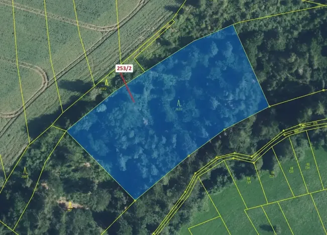 Dražba lesa, Nové Hrady, 7263 m2