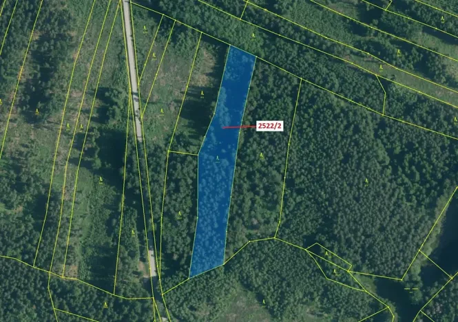 Dražba lesa, Kunžak, 8933 m2