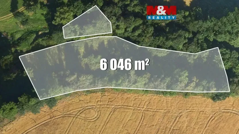 Prodej louky, Bílá - Hradčany, 6046 m2