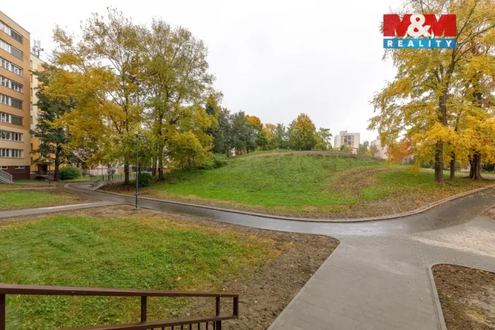 Prodej bytu 2+1, Ostrava - Moravská Ostrava, Ahepjukova, 57 m2