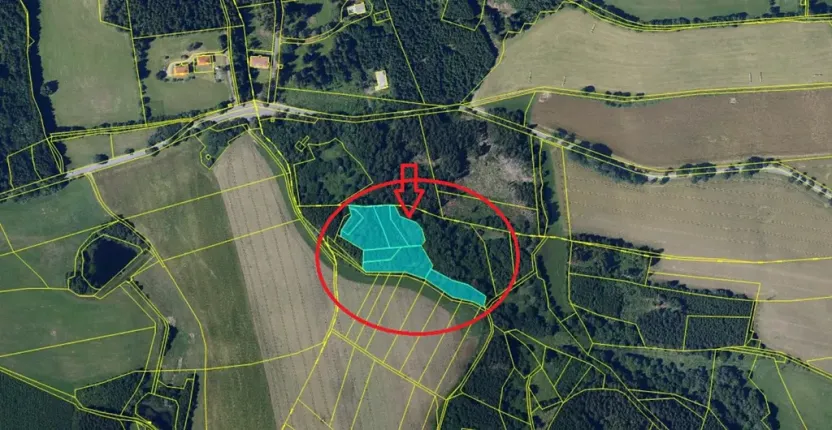Prodej lesa, Líšná, 10490 m2