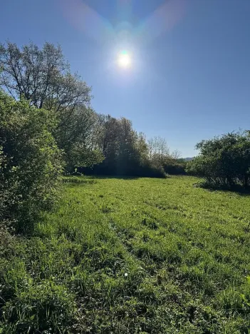 Prodej pozemku, Čížkov, 22012 m2