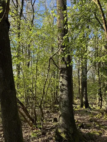 Prodej pozemku, Čížkov, 22012 m2