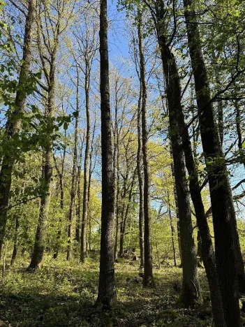 Prodej pozemku, Čížkov, 22012 m2